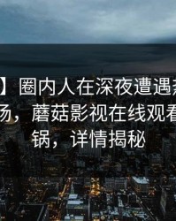 【紧急】圈内人在深夜遭遇热点事件惊艳全场，蘑菇影视在线观看全网炸锅，详情揭秘