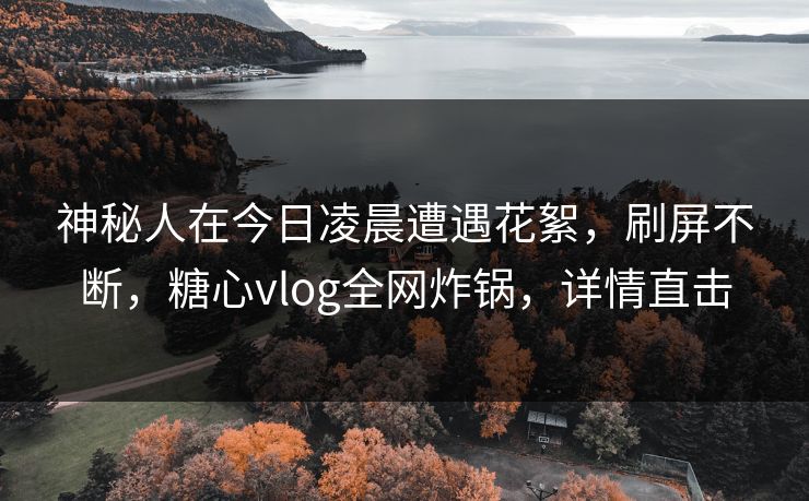 神秘人在今日凌晨遭遇花絮，刷屏不断，糖心vlog全网炸锅，详情直击