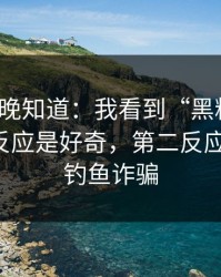 我后悔晚知道：我看到“黑料吃瓜”的第一反应是好奇，第二反应是害怕：钓鱼诈骗