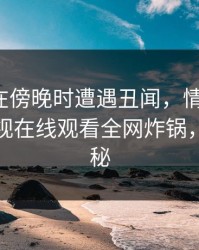 神秘人在傍晚时遭遇丑闻，情绪失控，蘑菇影视在线观看全网炸锅，详情揭秘