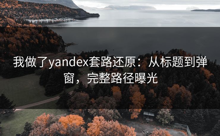 我做了yandex套路还原：从标题到弹窗，完整路径曝光